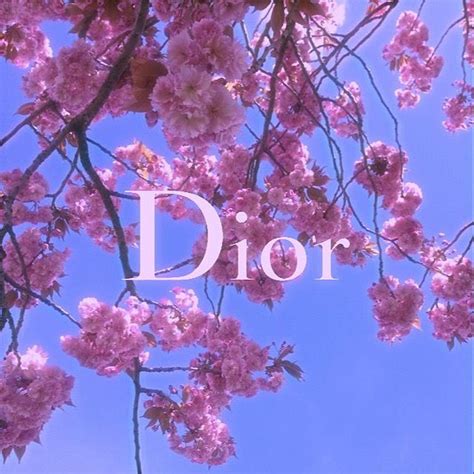 dior pink cherry blossom logo.